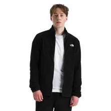 The North Face Men's Glacier F Picture