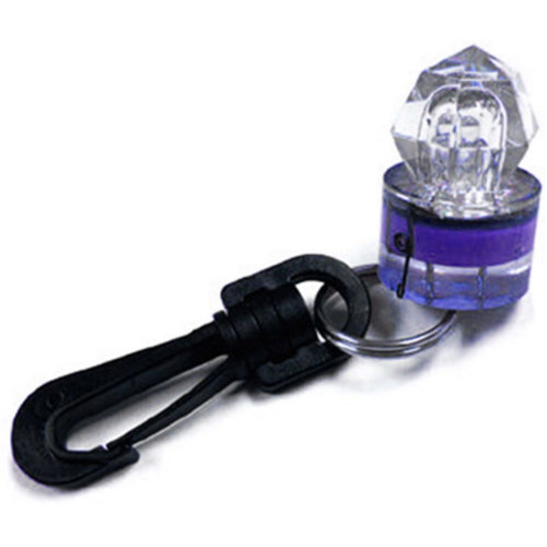 Trident Water Activated LED Light Blue