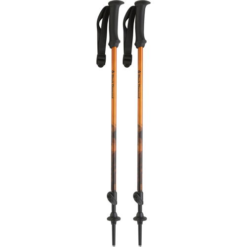 Black Diamond First Strike Trekking Poles for Kids (pair)