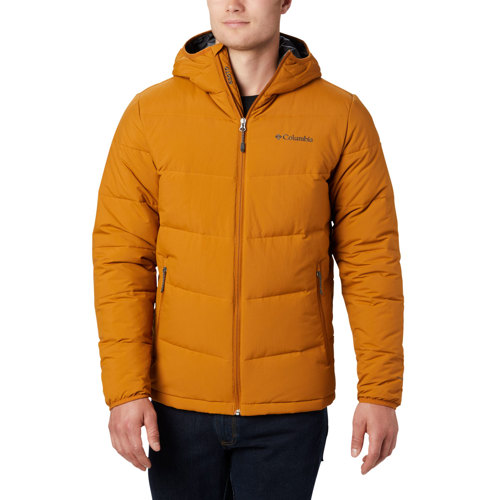dakine team heli pro