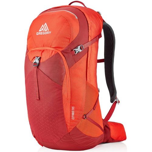 Gregory Citro 36 Backpack for Men SunnySports