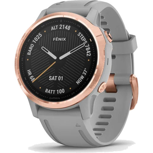 Garmin Fenix 6S Multisport Training GPS Watch