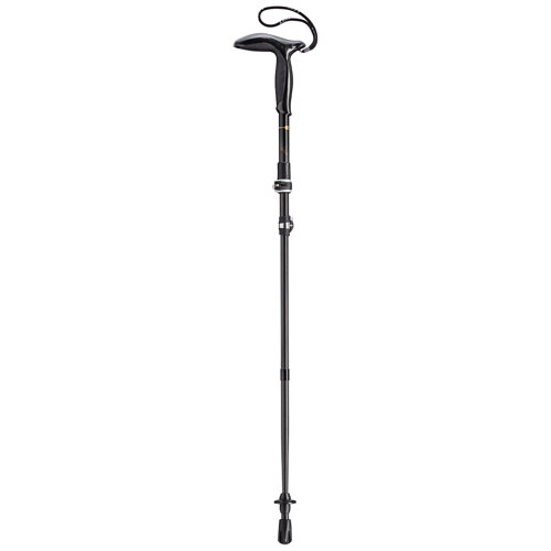 Leki Legend Micro Carbon Pole