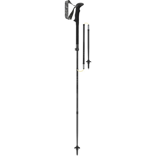 Leki Black Series Micro Vario Carbon