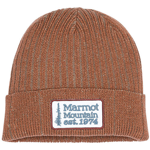 marmot retro trucker beanie