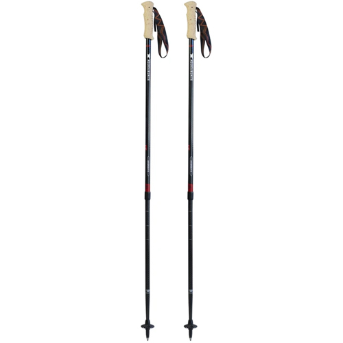 Mountainsmith Andesite Trekking Poles, Carbon