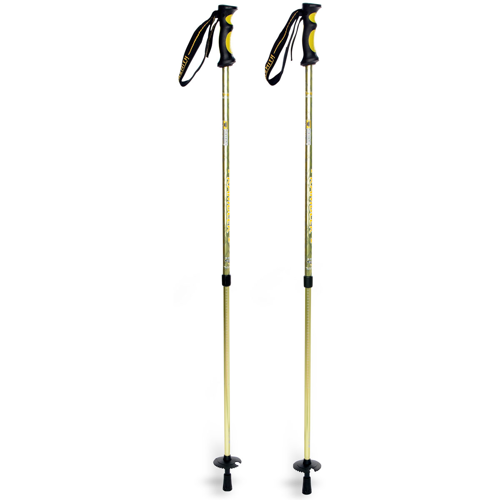youth trekking pole