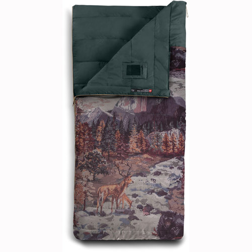 The north face clearance homestead sleeping bag