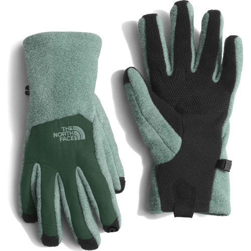 The North Face Denali Etip Gloves for Women SunnySports