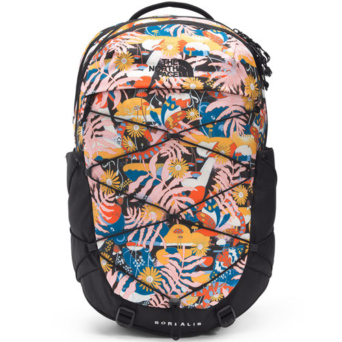 the north face borealis backpack