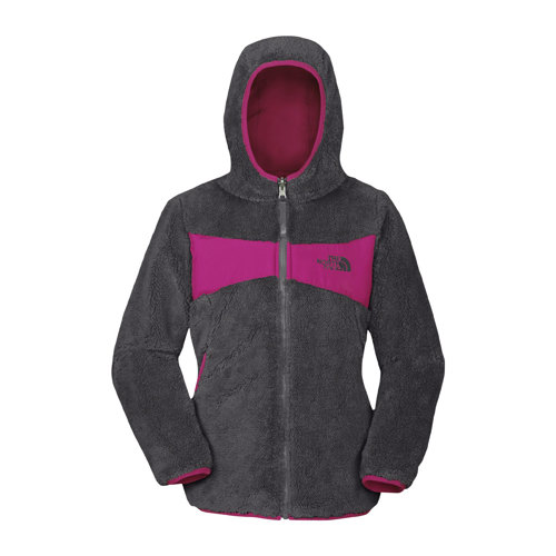 north face perseus