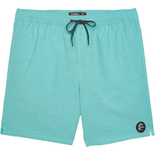 O'Neill Solid 17" Volley Boardshort for Men Large Aqua