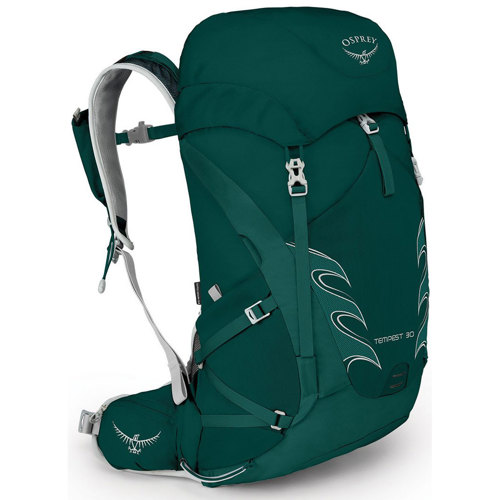 osprey 30l day pack
