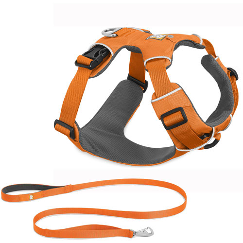 Ruffwear Front Range Harness and Leash Package RFWFRNP SunnySports