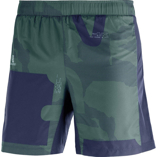salomon agile 2 in 1 short
