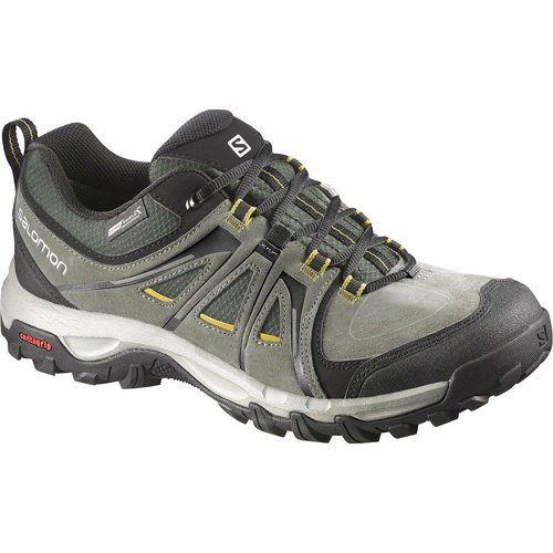 asics kayano 25 vs 24