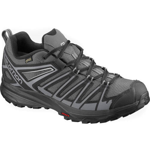 Salomon X Crest GTX Hiking Shoe for Men SunnySports