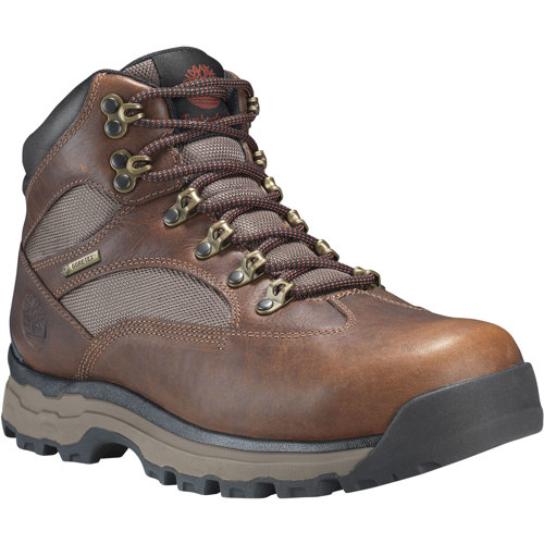 Timberland Chocorua Trail 2 Mid GTX Waterproof Hiking Boots for Men