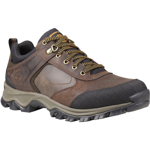 Timberland Earthkeepers Mt. Maddsen Low Hiking Boots for Men