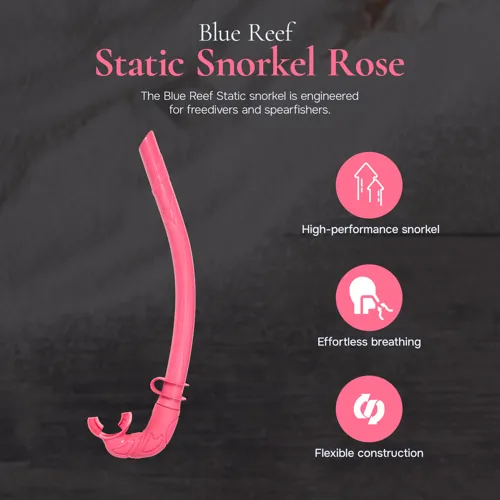 Blue Reef Static Snorkel Rose