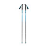 Black Diamond Distance Carbon Z Trekking Poles Desert Sky