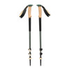 Black Diamond Trail Cork Trekking Poles Laurel Green
