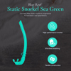 Blue Reef Static Snorkel Sea Green