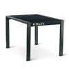 Kelty Rad-Arondack Table Black Fern
