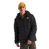 North Face : Picture 1 regular