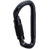 NRS Public Safety Nuq Twist Lock Carabiner Black