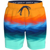 Speedo Print Redondo Edge Volley 17" Boardshorts for Men Blue
