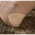 Adventure Medical Kits - Blister Medic: Picture 3 thumbnail