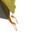 Big Agnes Blacktail 2 Person Backpacking...: Picture 6 thumbnail