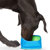 Canada Pooch Chill Seeker Freeze-And-Go ...: Picture 3 thumbnail