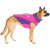 Canada Pooch High Tide Life Jacket for D...: Picture 4 thumbnail