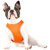 Canada Pooch High Visibility Reflective ...: Picture 2 thumbnail