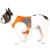 Canada Pooch High Visibility Reflective ...: Picture 3 thumbnail