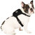 Canada Pooch Pack It Packable Dog Rainco...: Picture 3 thumbnail