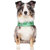 Canada Pooch The Pick Me Poncho Dog Rain...: Picture 2 thumbnail