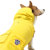 Canada Pooch Torrential Tracker Dog Rain...: Picture 4 thumbnail