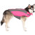Canada Pooch Wave Rider Dog Life Jacket: Picture 3 thumbnail