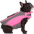 Canada Pooch Wave Rider Dog Life Jacket: Picture 4 thumbnail