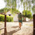Cotopaxi Allpa 35L Travel Pack: Picture 2 thumbnail