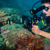 DiveVolk SeaTouch 4 Max Plus Underwater ...: Picture 4 thumbnail