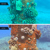 DiveVolk SeaTouch 4 Max Plus Underwater ...: Picture 5 thumbnail