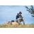EcoFlow RIVER 2 300W 256Wh Portable Powe...: Picture 15 thumbnail