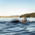 Finis Alliance Goggle: Picture 5 thumbnail