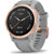 Garmin Fenix 6S Multisport Training GPS ...: Picture 1 thumbnail