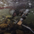 Garmin fenix 8 Pro AMOLED Sapp GPS Smart...: Picture 20 thumbnail