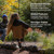 Helinox Chair One (re): Picture 5 thumbnail